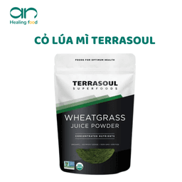 Cỏ Lúa Mì Terrasoul